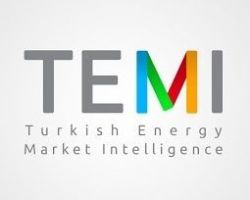 temi logo 4x5